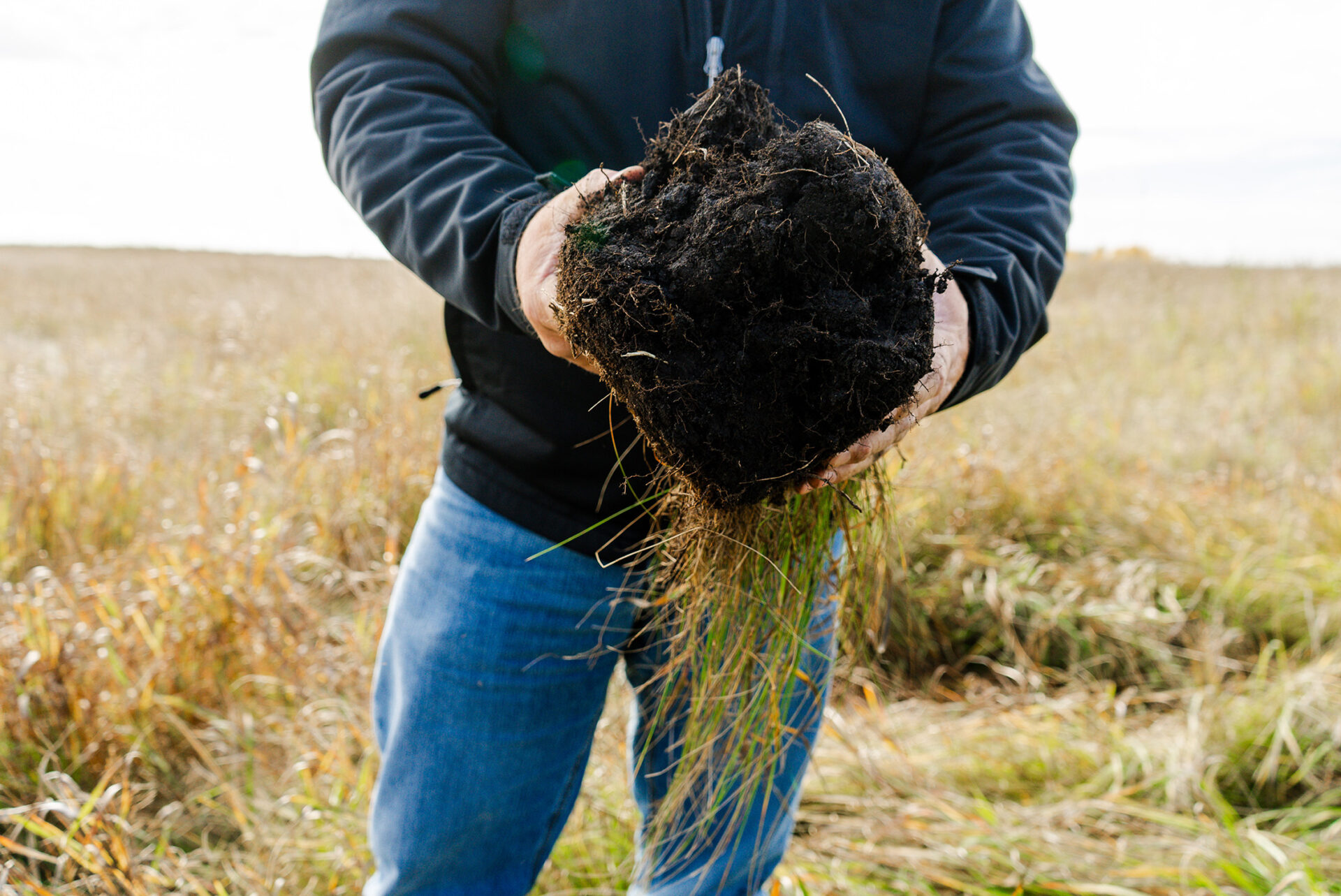 Farmer holding rich, healthy soil in an open field